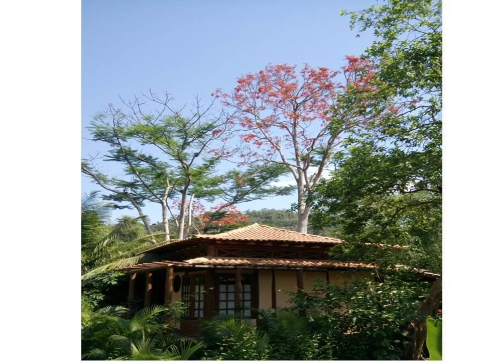 Paraty Villa D'Agua Temporada Exterior foto